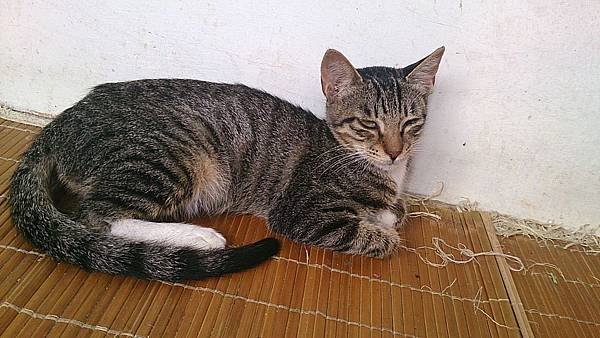 2013-08-17 14.59.27.jpg