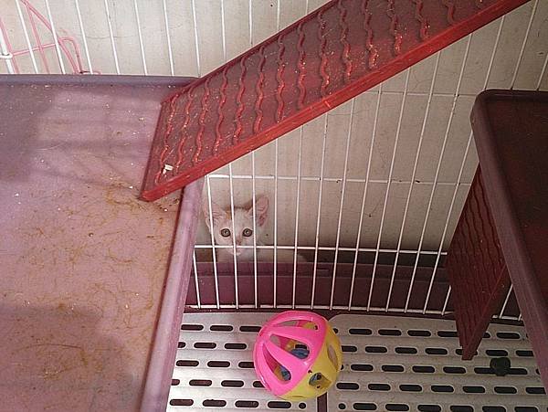 2013-08-17 14.59.50.jpg