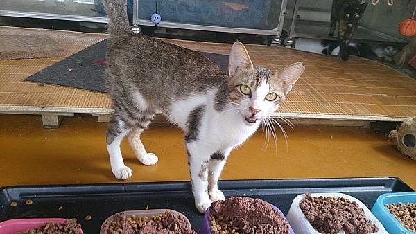 2013-08-17 10.31.49.jpg