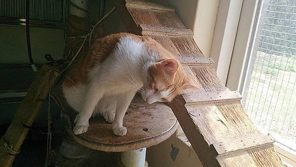 2013-08-17 10.32.46.jpg