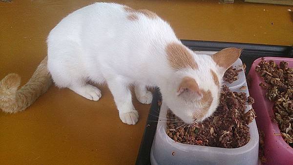 2013-09-14 12.09.46.jpg