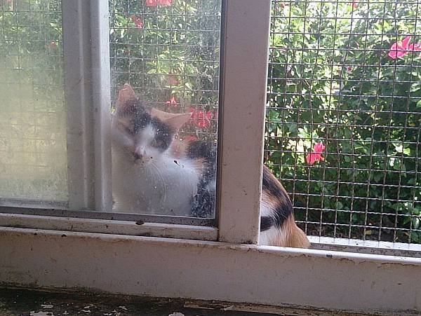 2013-09-14 13.39.21.jpg