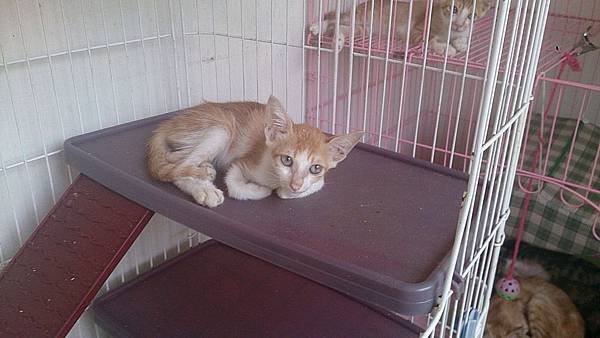 2013-09-14 11.20.56.jpg