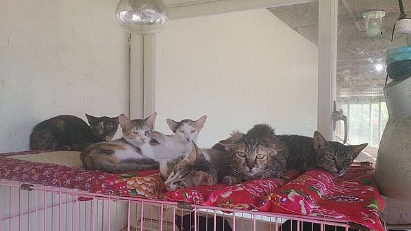 2013-09-14 11.21.24.jpg