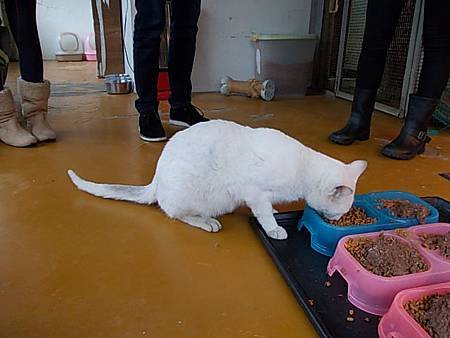 DSCN1141.JPG