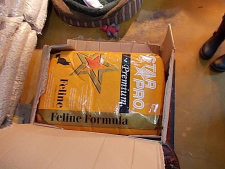 DSCN1153.JPG