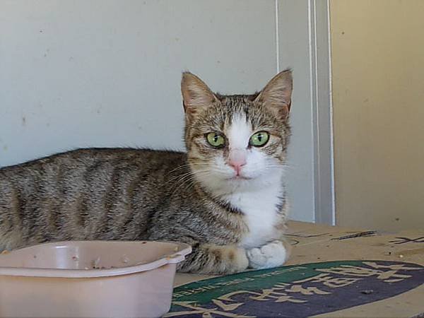 DSCN1287.JPG