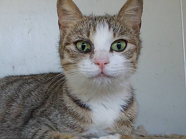 DSCN1288.JPG