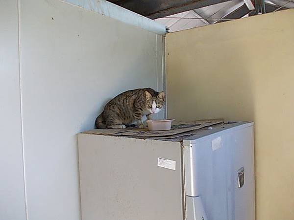 DSCN1289.JPG