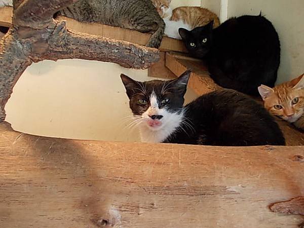 DSCN1320.JPG