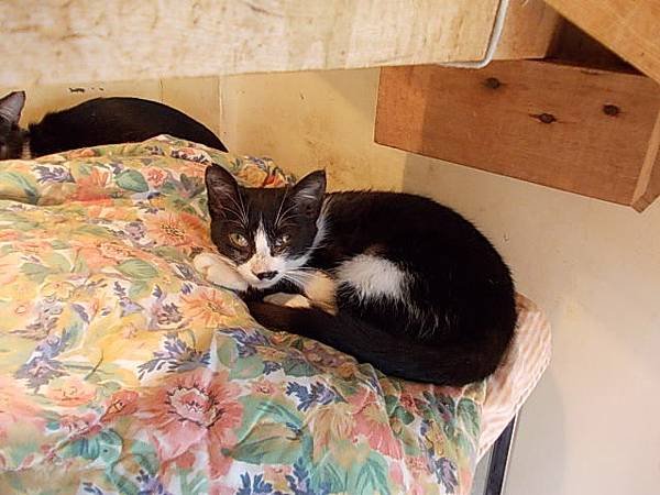 DSCN1332.JPG