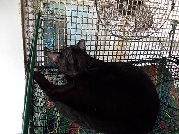 DSCN1336.JPG