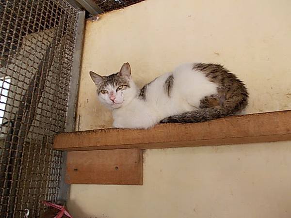 DSCN1338.JPG