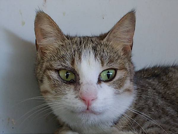 DSCN1353.JPG