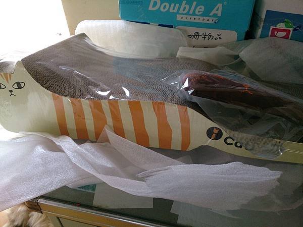 新屋貓舍_1040502_4(民眾捐贈物資)_18.jpg
