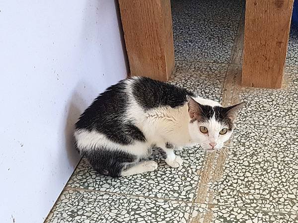 20170701_114630.jpg