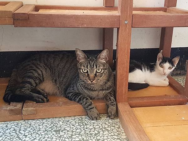 20170701_114754.jpg