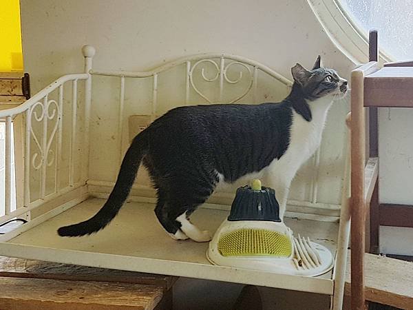20170701_114838.jpg