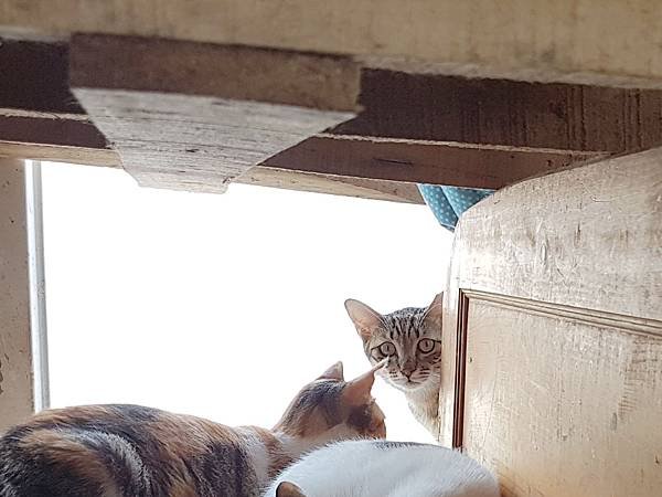 20170701_144240.jpg