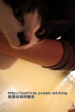 IMG_9291.JPG