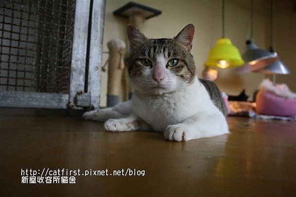 IMG_9817.JPG
