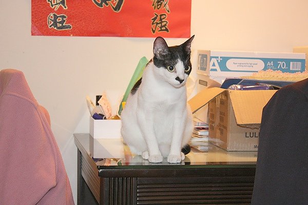 IMG_5781.JPG