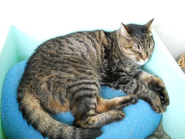 DSCN0205.JPG