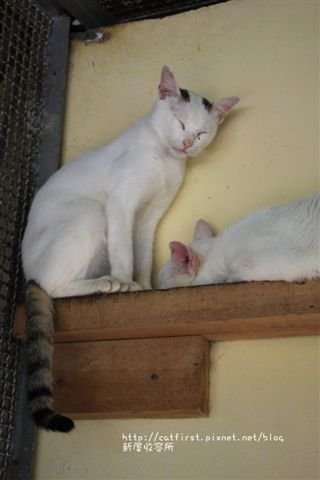 IMG_1759.JPG