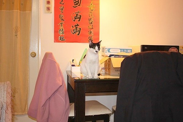 IMG_5784.JPG