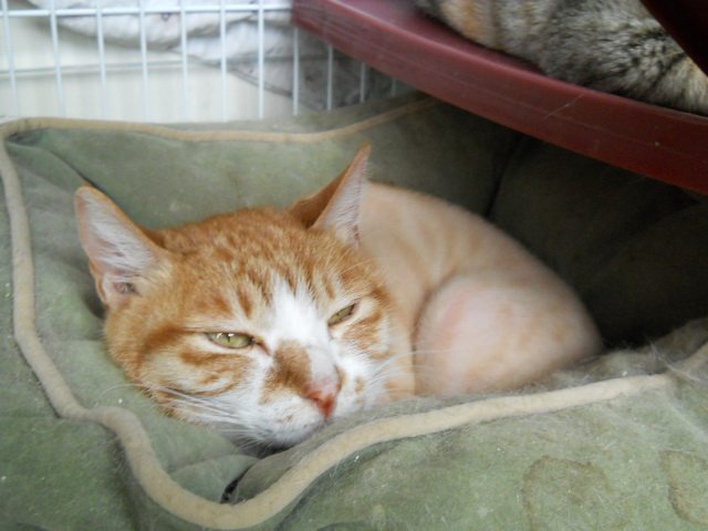 DSCN0202.JPG