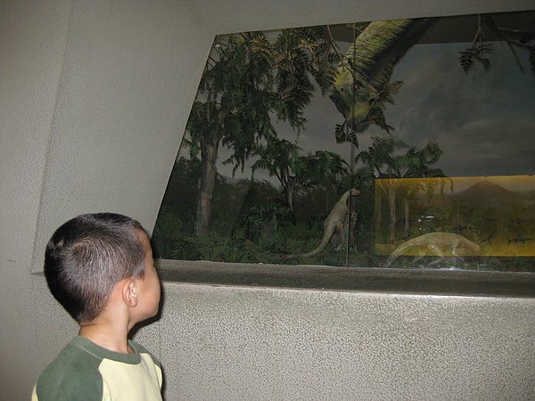 IMG_3878.JPG
