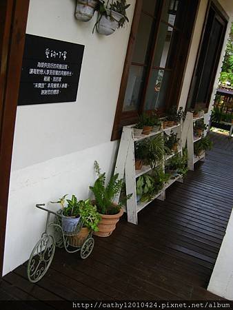 IMG_8317