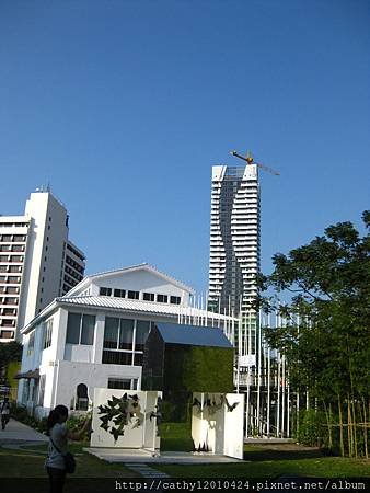 IMG_8413