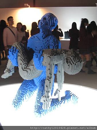 IMG_9341