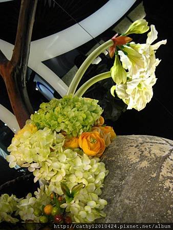 IMG_9491
