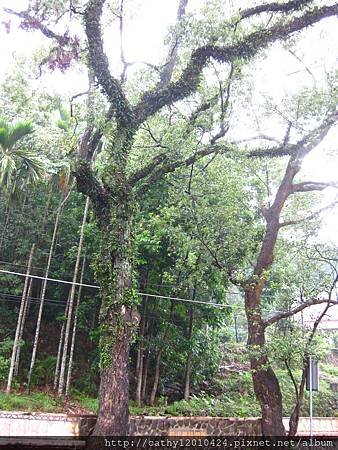 IMG_0501