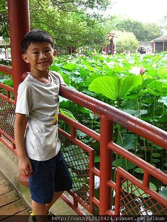 IMG_0695
