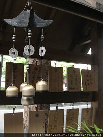 IMG_0866.JPG