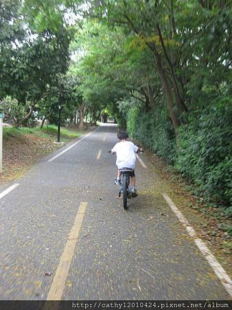 IMG_1996.JPG