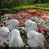 IMG_1894.JPG
