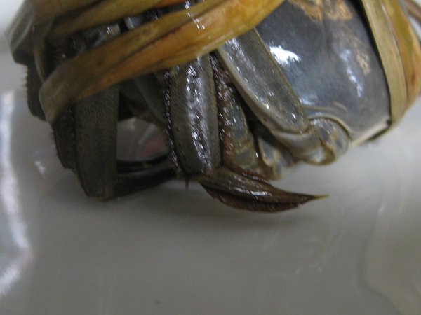 IMG_2574.JPG