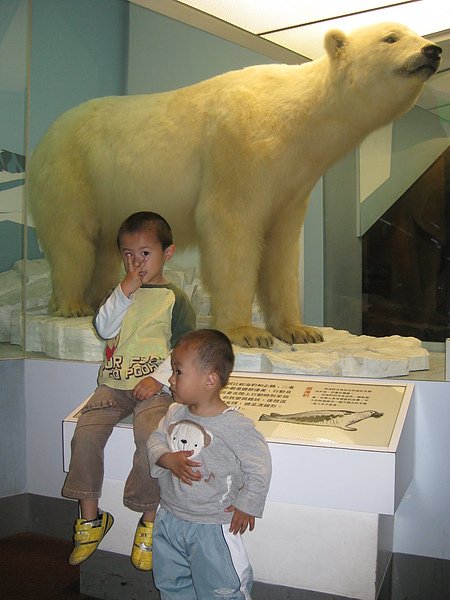 IMG_3905.JPG