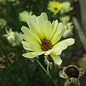 IMG_1937.JPG