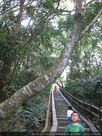 IMG_1955.JPG