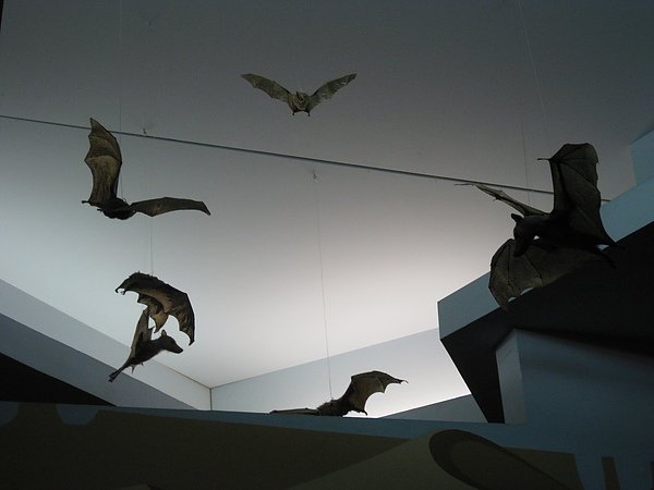 IMG_3900.JPG