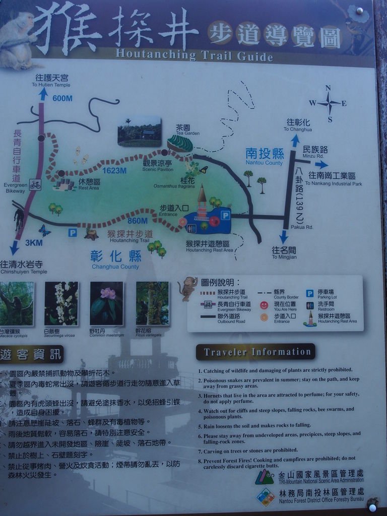 P1010749