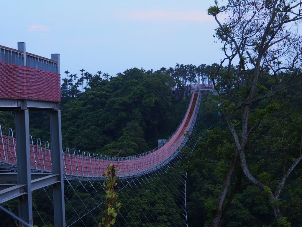 P1010823