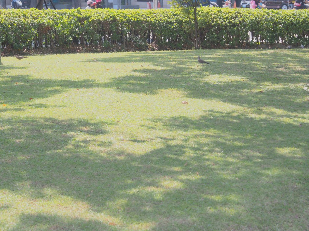 P1010145