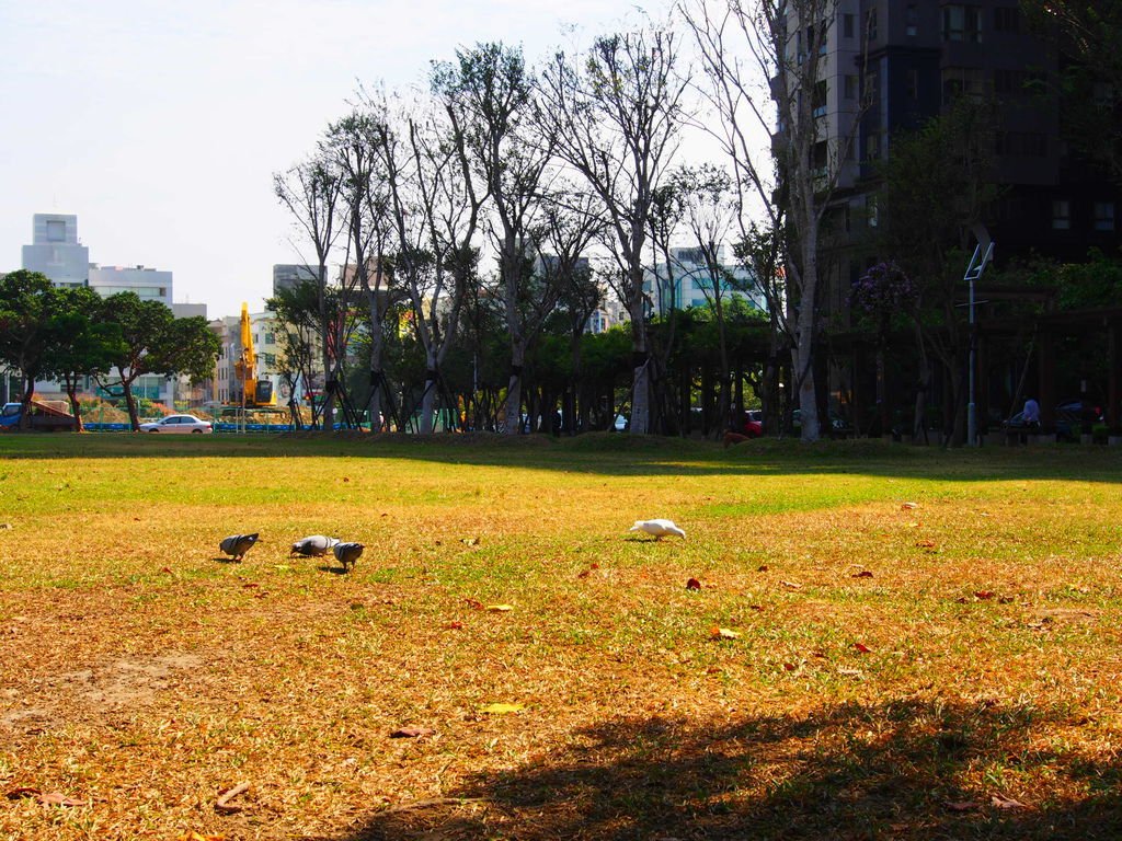 P1010057