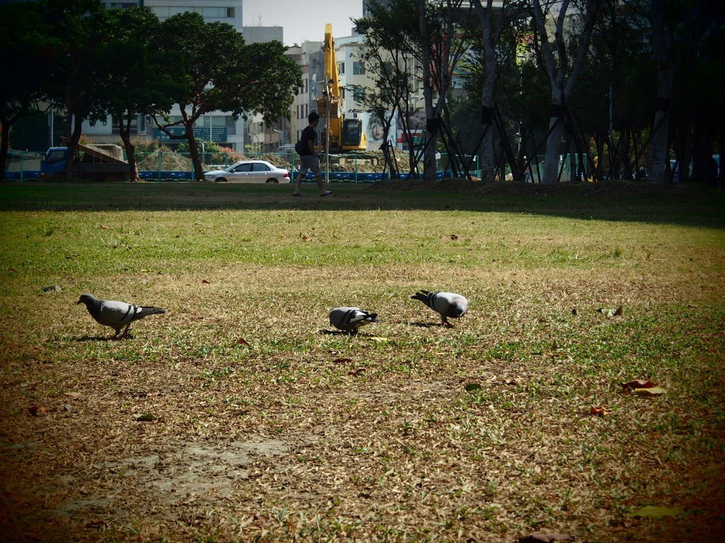 P1010062